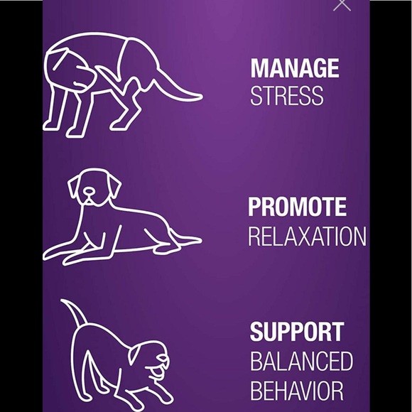 Calming chews - Picture 4 of 4